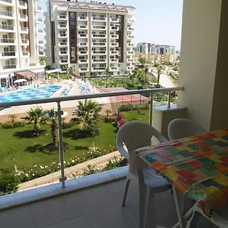 Orion Elif 17 Avsallar